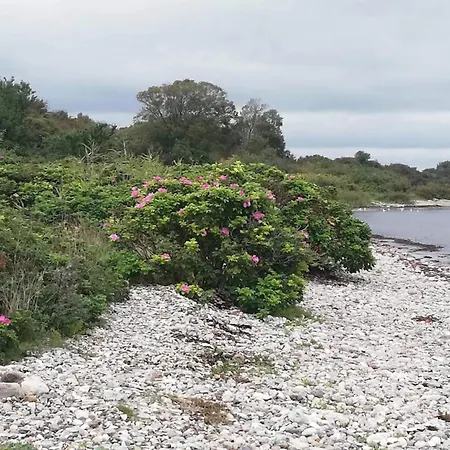 Dom wakacyjny 5 Person In Aabenraa-by Traum *